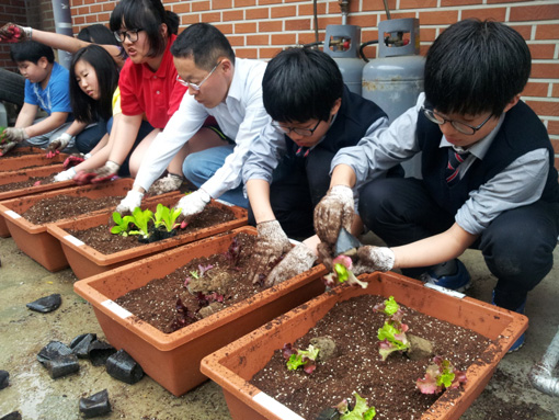 자투리 생활공간, 농장 만든다