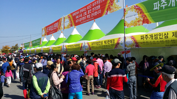 파주개성인삼축제 2일간 60만명 몰려...