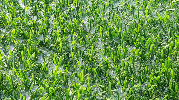 <속보>-광탄 체육구장 부실공사 일부 시인...제품에는 하자 없다