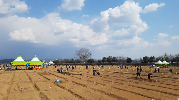 파주희망농장 3월 31일 개장