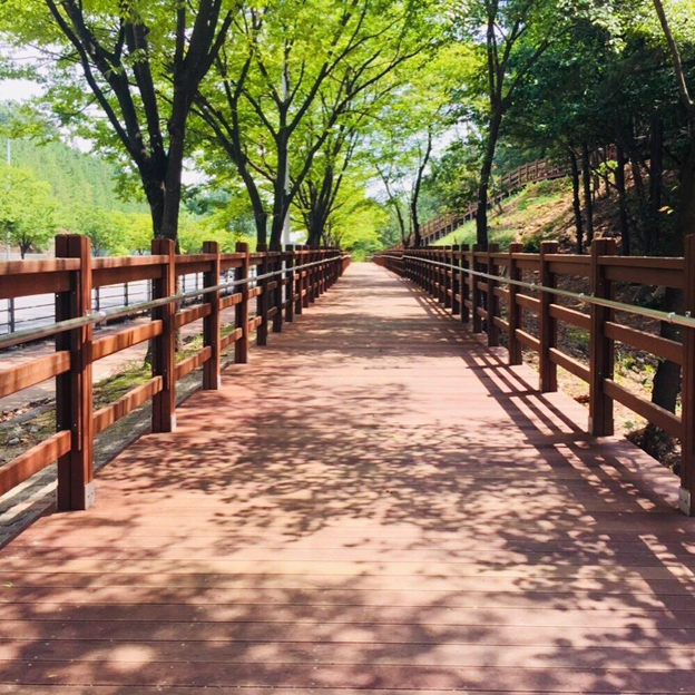 헤이리 예술마을 노을공원에 '무장애(無障碍) 숲길' 조성