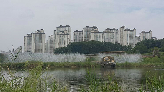 운정연, "운정호수공원 내 황조롱이 흉물스럽다"