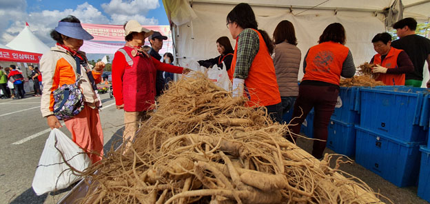 파주개성인삼 45톤, 7억여 원 팔려... 명성과 우수성 여전