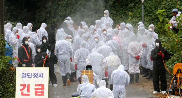 파주시 10대 뉴스(이슈)