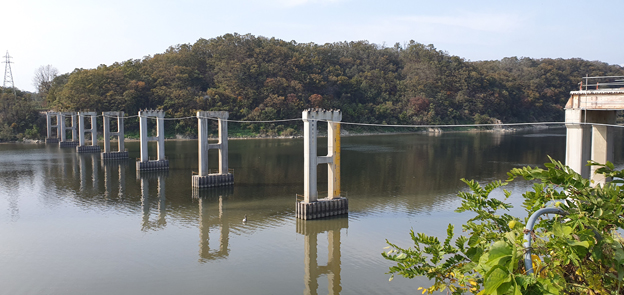 리비교 복원 재조명... 시의회, 관광 활성화와 역사적 가치 보전 필요하다