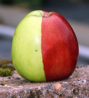 <사설>-TV에서 보는 여의도 코미디도 지겨운데 파주에서 이런 일이...