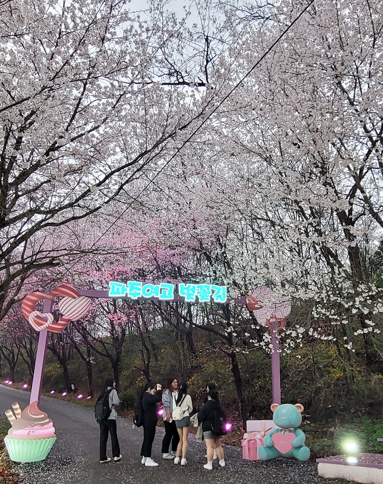 2회 파주여고 ‘벚꽃길 별빛’ 축제 성황리 개최